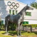 Deutsche Reiterliche Vereinigung (FN) und Deutsches Olympiade-Komitee für Reiterei (DOKR)