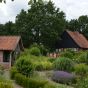 Heimathof mit Wildkräutergarten